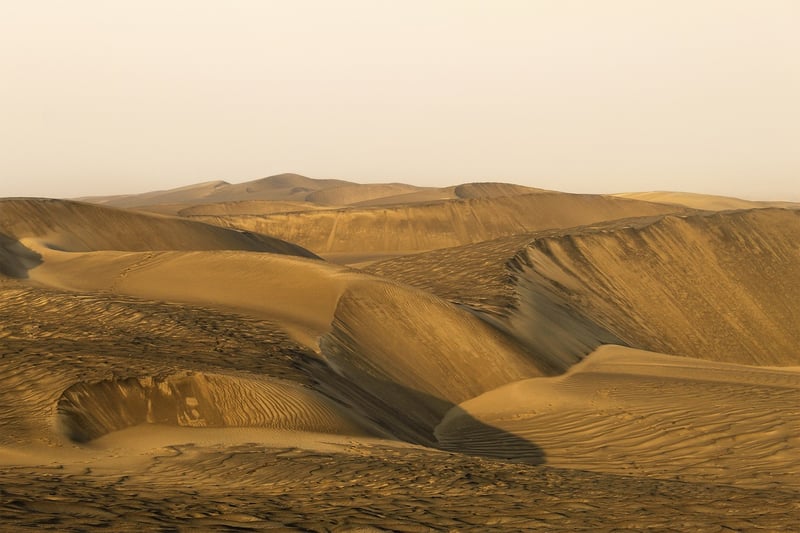 Desert Expedition